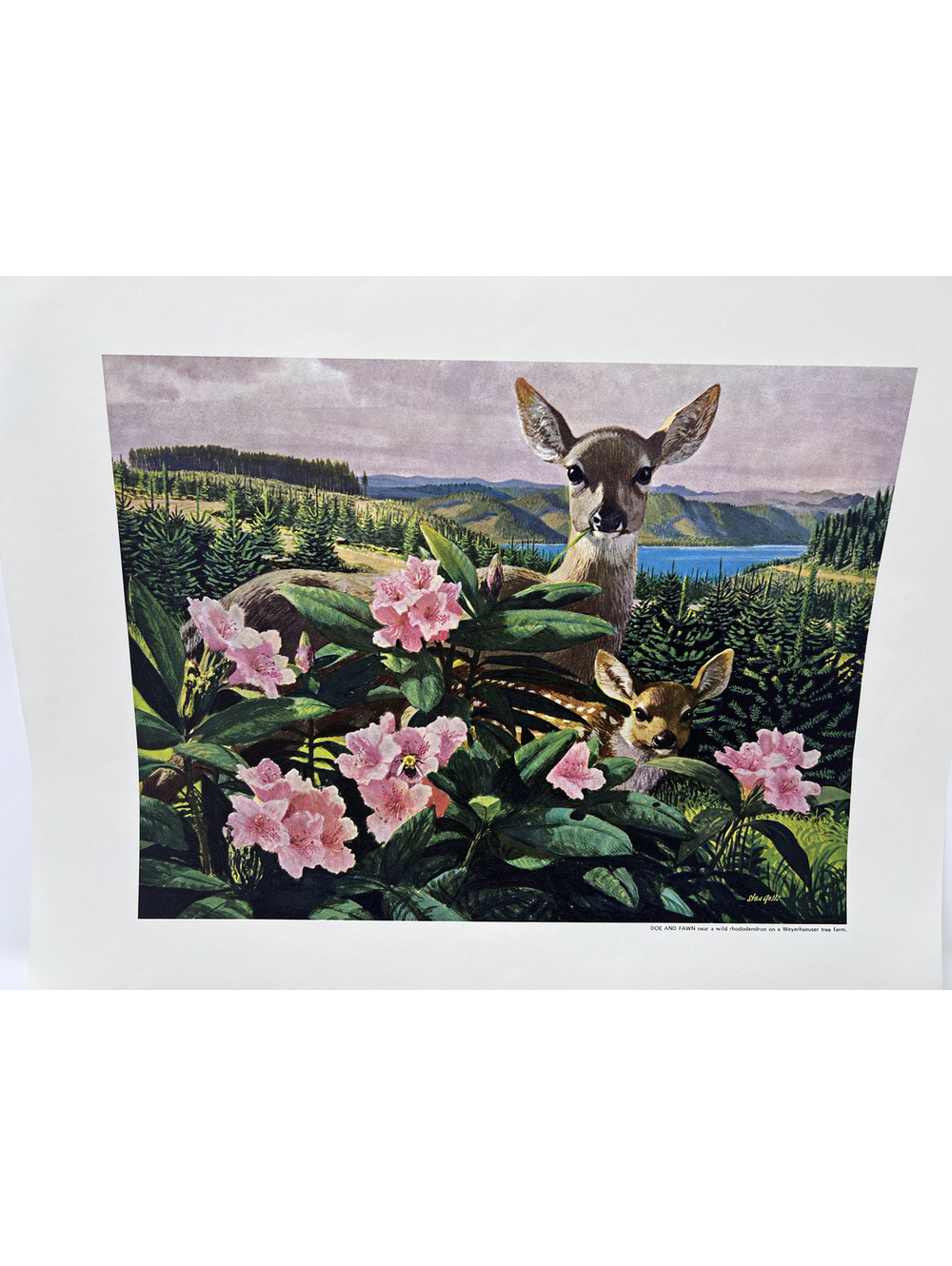 Vintage Nature Print of Deer and Pink Flowers